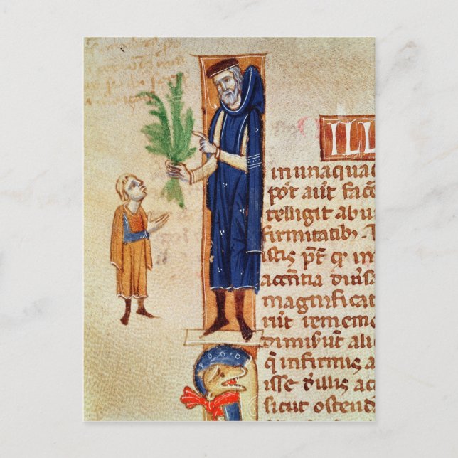 Medicinal Plants Postcard (Front)