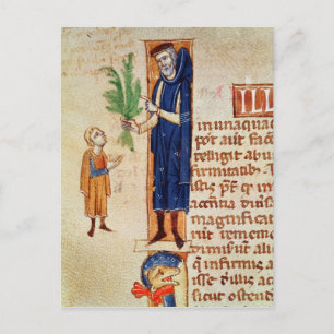 Medicinal Plants Postcard