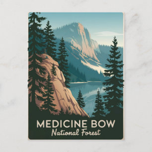 Medicine Bow National Forest Vintage Postcard