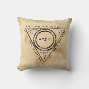 Medieval Alchemy Twelve Keys Book Illustration Throw Pillow