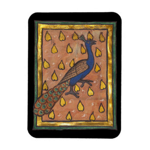 Medieval Bestiary Peacock c. 1270 Magnet