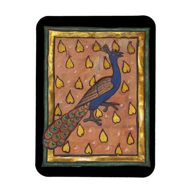 Medieval Bestiary Peacock c. 1270 Magnet (Vertical)