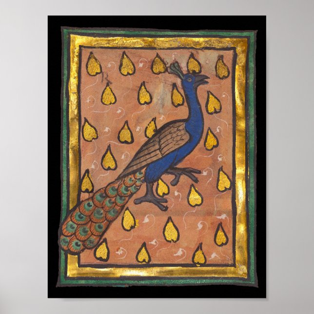 Medieval Bestiary Peacock c. 1270 Poster (Front)