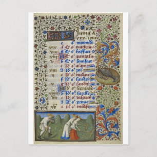 Medieval calendar: June Postcard