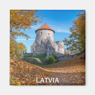 Medieval castle surrounded by forest magnet