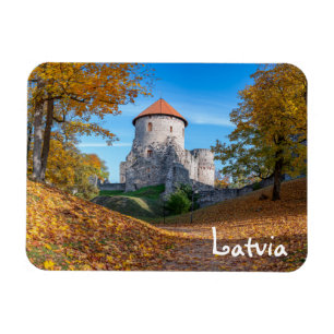 Medieval castle surrounded by forest magnet
