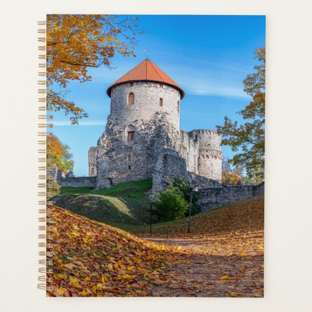 Medieval castle surrounded by forest planner (Front)