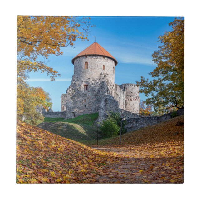 Medieval castle surrounded by forest tile (Front)