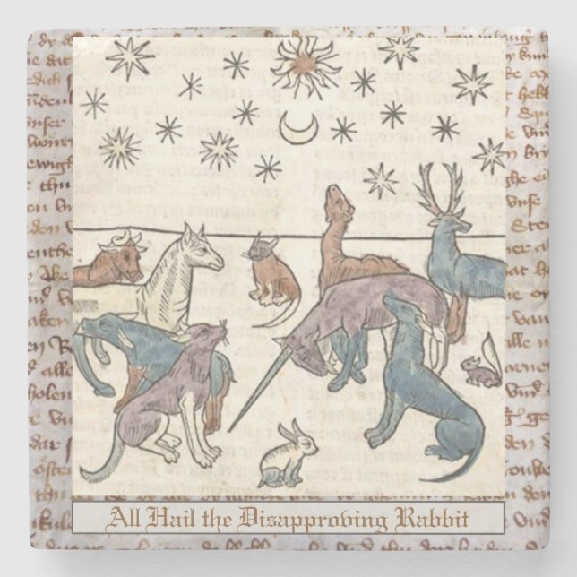 Medieval Disapproving Rabbit Art Unicorn Dog Cat  Stone Coaster (Front)