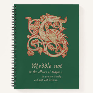 Medieval Dragon Spiral Notebook