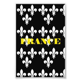 Medieval France Heraldic Print Monochromatic Art
