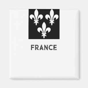 Medieval France Heraldic Print Monochromatic Art Magnet