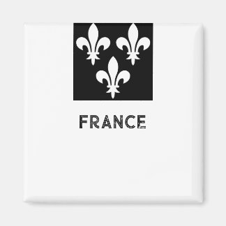 Medieval France Heraldic Print Monochromatic Art Magnet