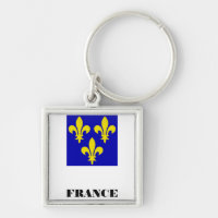 Medieval French Royal Standard Fidelity Heraldic