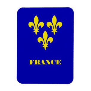 Medieval French Royal Standard Fidelity Heraldic Magnet
