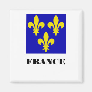 Medieval French Royal Standard Fidelity Heraldic Magnet
