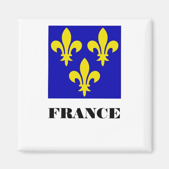 Medieval French Royal Standard Fidelity Heraldic Magnet (Front)