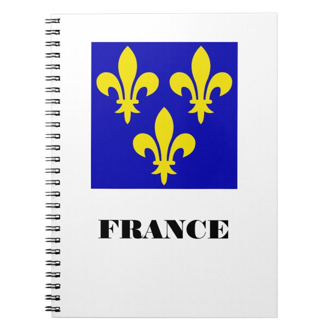 Medieval French Royal Standard Fidelity Heraldic Notebook (Front)