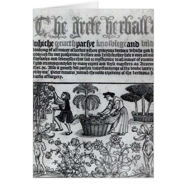 Medieval Herb Garden (Front)