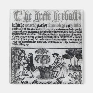 Medieval Herb Garden Magnet
