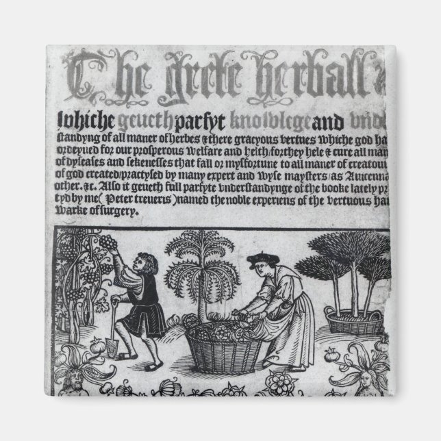 Medieval Herb Garden Magnet (Front)
