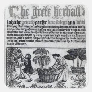 Medieval Herb Garden Square Sticker