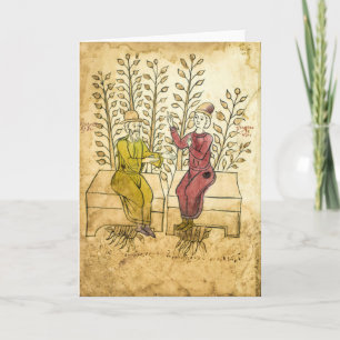 Medieval Herbalist Manuscript greeting card