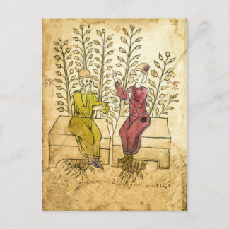 Medieval Herbalist Manuscript real photo postcard