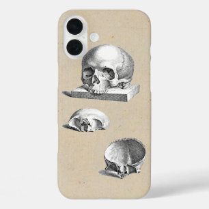 Medieval Human Skull Cheselden Drawing iPhone 16 Plus Case
