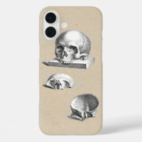 Medieval Human Skull Illustrated