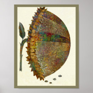 Medieval Italian Sunflower Poster