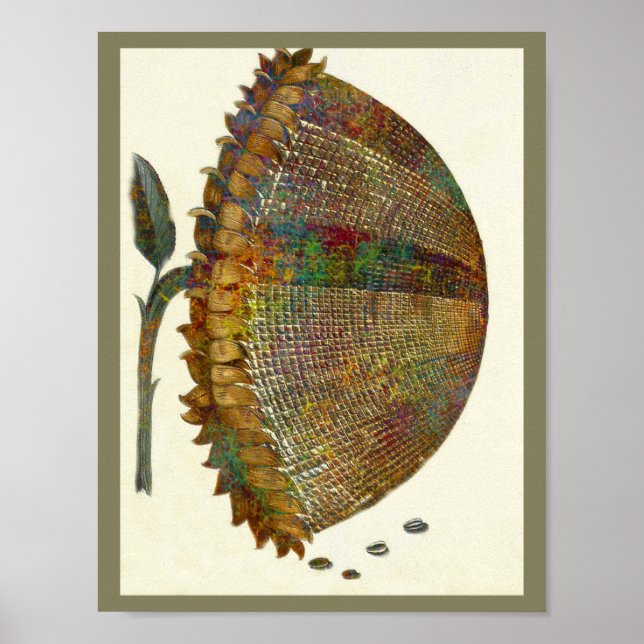 Medieval Italian Sunflower Poster (Front)