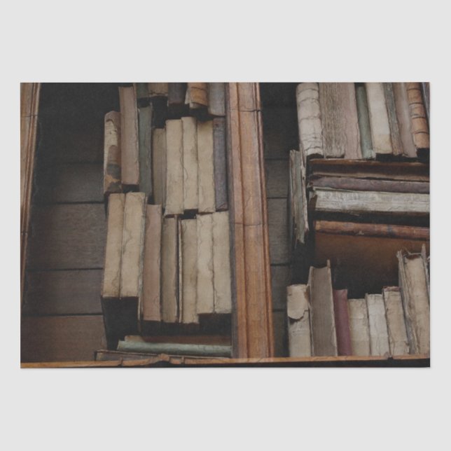 Medieval Library and Books of Antiquity Tissue Paper (Front)