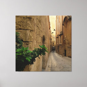 Medieval Narrow Street Tall Buildings And Coach Canvas Print