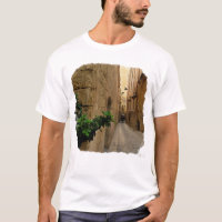 Medieval Narrow Street Tall Buildings And Coach