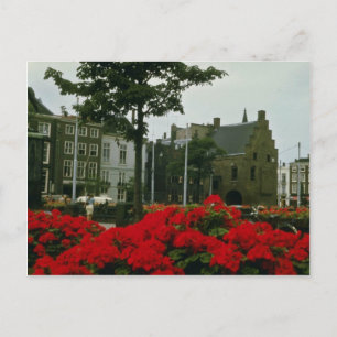 Medieval Prison In The Hague flowers Postcard