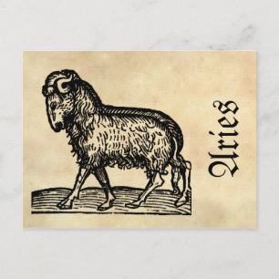 Medieval Renaissance Zodiac Symbol Aries Postcard