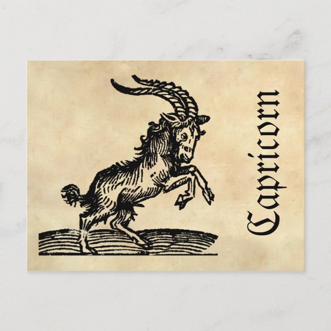 Medieval Renaissance Zodiac Symbol Capricorn Postcard (Front)