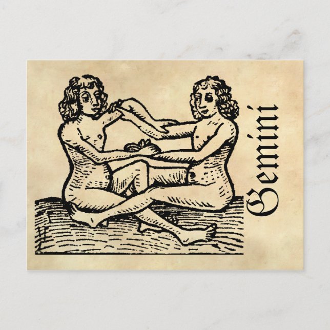 Medieval Renaissance Zodiac Symbol Gemini Postcard (Front)