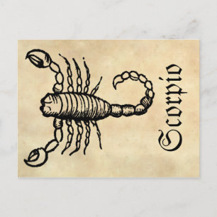 Medieval Renaissance Zodiac Symbol Scorpio Postcard