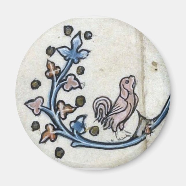 Medieval rooster-dog magnet (Front)