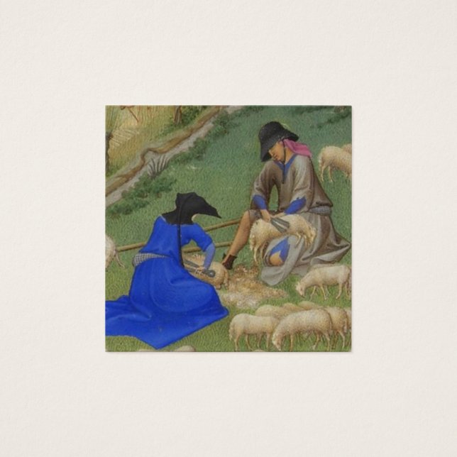 Medieval sheep shearing illustration (Front)