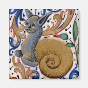 Medieval snail-cat magnet