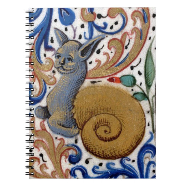 Medieval snail-cat notebook (Front)