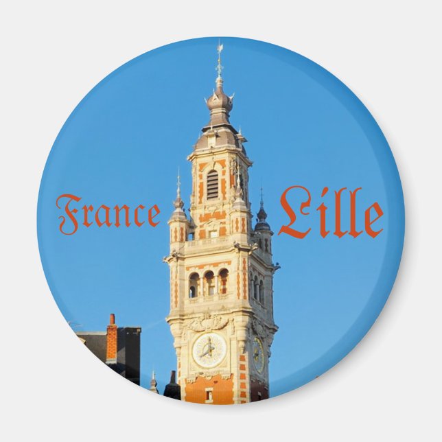 Medieval tower in Lille, France Magnet (Front)