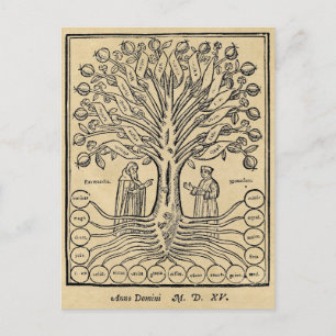 Medieval Tree of Science Postcard