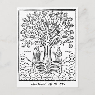 Medieval Tree of Sciences Postcard