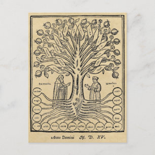 Medieval Tree of the Sciences Sepia Postcard