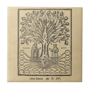 Medieval Tree of the Sciences Tile