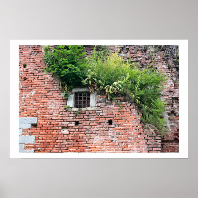 Medieval Window Detail Poster (Front)